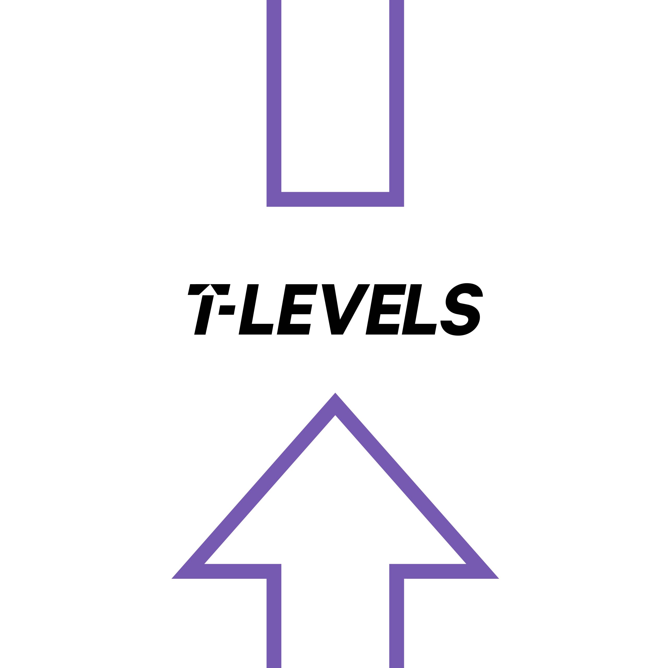 t level logo with two arrows vertically placed either side of it